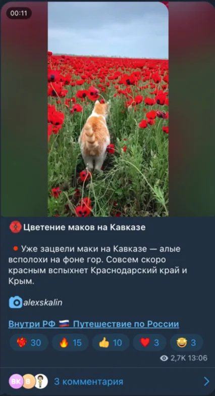 Как блог о путешествиях за 3 месяца вышел на 192 000 ₽ выручки в месяц — иллюстрация 2