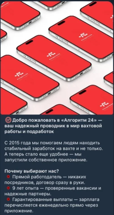 Как HR-компания увеличила заявки на 140% через Telegram — иллюстрация 3
